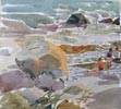 Bathers Rocks