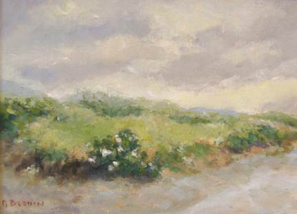 Morning Dunes