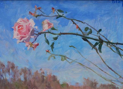 Last Rose