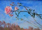 Last Rose