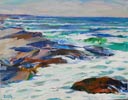 Rocky Coast