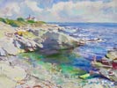 Tidal Pool
