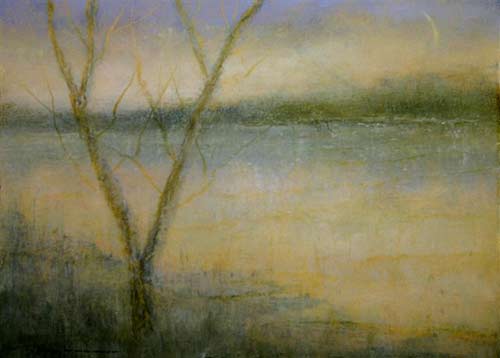 Tree Branches in the Moonlight