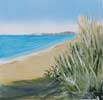 Summer Begins