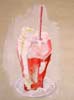 Rasberry Float