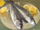 Two Fish on a Plate