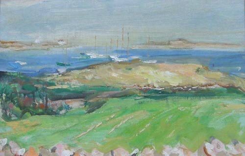 Sommerfeld Sailboats