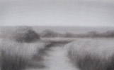 Conservation