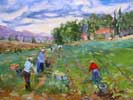 Harvesting Melons