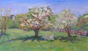 Blossoming Apple Trees