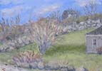 Early Spring View